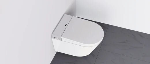 Därför måste din nästa toalett vara en duschtoalett