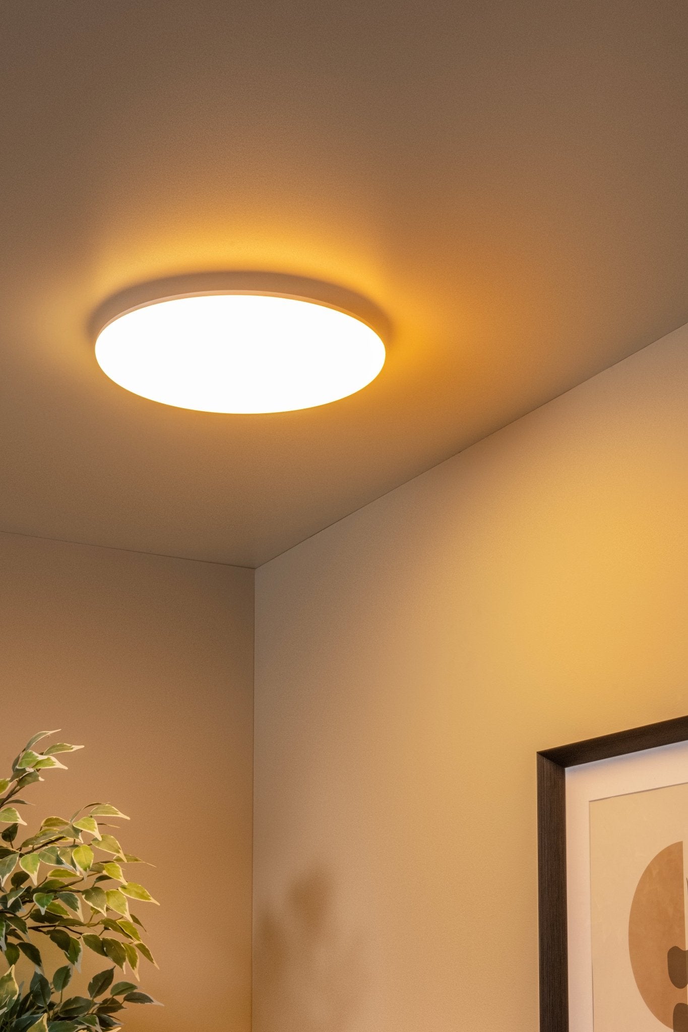 Olson, taklampa, opal - 35 cm - Taklampor - Olson, taklampa, opal - 35 cm - 